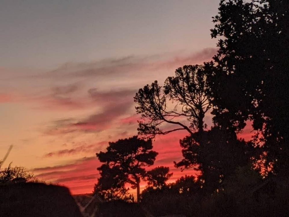 YE OLDE HIGHLANDS BAKERY SHOPPE